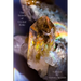 The Secrets of Crystal Reiki: The Wisdom of Reiki