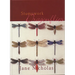 Stumpwork Dragonflies