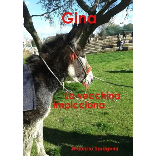 Gina -La Vecchina impicciona-