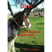 Gina -La Vecchina impicciona-