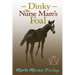 Dinky: The Nurse Mare's Foal