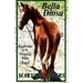 Bella Diosa: Book Nine of the Winning Odds Series