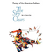 The Sky Clears: Poetry of the American Indians