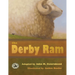 The Derby Ram