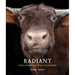 Radiant: Farm Animals Up Close and Personal