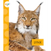 Lynx