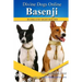Basenji