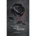 The Colour of the Rose