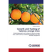 Growth and fruiting of Valencia orange trees