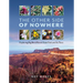 The Other Side of Nowhere: Exploring Big Bend Ranch State Park and Its Flora