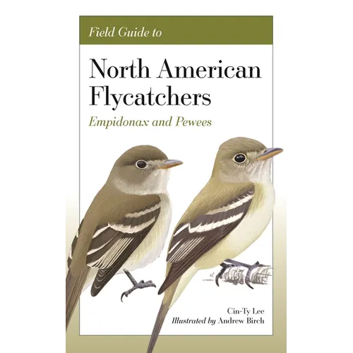 Field Guide to North American Flycatchers: Empidonax and Pewees