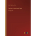 The Boys' Life of Mark Twain: in large print