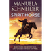 Spirit Horse