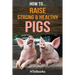 How To Raise Strong & Healthy Pigs: Quick Start Guide