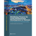 Mobilizing Finance for Local Infrastructure Development in Vietnam: A City Infrastructure Financing Facility