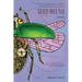 Seed Beetle
