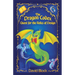 The Dragon Codex: Quest for the Relics of Design