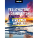 Moon Yellowstone & Grand Teton: Hiking, Camping, Wildlife