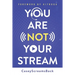 You Are Not Your Stream: A Twitch Broadcaster's Guide to Success Online and Behind the Scenes
