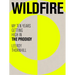 Wildfire: My Ten Years Getting High in the Prodigy