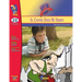 Al Capone Does My Shirts by Gennifer Choldenko Lit Link Grades 4-6