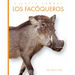 Los Facóqueros