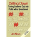 Drilling Down: Turning Customer Data into Profits with a Spreadsheet - Third Edition