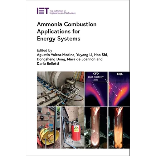 Ammonia Combustion Applications for Energy Systems