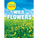 Wild Flowers