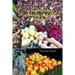 An Introduction to Veganism and Agricultural Globalism