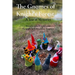 The Gnomes of Knight's Forest
