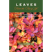 Leaves from the Tree of Life: Sermons for Children
