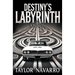 Destiny's Labyrinth, A Novella