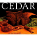 Cedar: Tree of Life to the Northwest Coast Indians