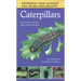 Caterpillars