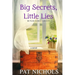 Big Secret, Little Lies