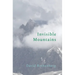 Invisible Mountains