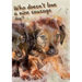 Who doesn't like a nice sausage dog?