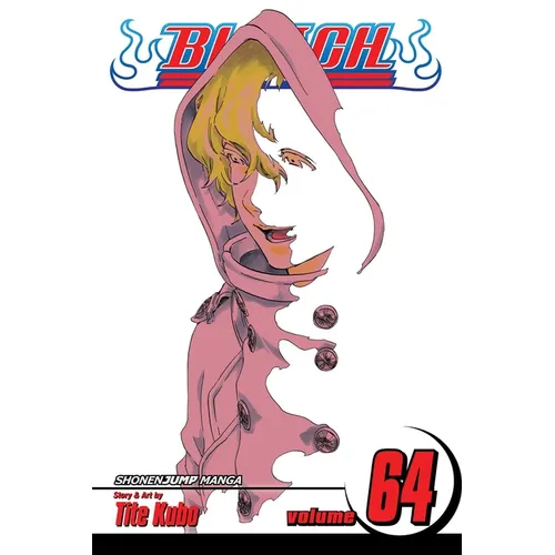 Bleach, Vol. 64: Death in Vision