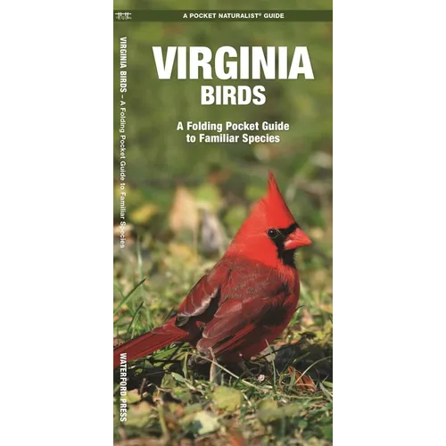 Virginia Birds: A Folding Pocket Guide to Familiar Species