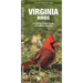 Virginia Birds: A Folding Pocket Guide to Familiar Species