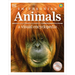 Animals a Visual Encyclopedia