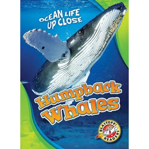Humpback Whales
