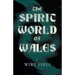The Spirit World of Wales - Including Ghosts, Spectral Animals, Household Fairies, the Devil in Wales and Angelic Spirits (Folklore History Series)