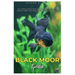 Black Moor Goldfish: The ultimate guide to Black Moor Goldfish care, breeding, behavior, health, tank mates, socialization, nutrition and lots more.