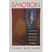 Emotion: A Comprehensive Phenomenology of Theories and Their Meanings for Therapy