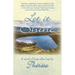 Let It Shine: A Novel of Hope After Loss
