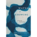 Waves of Knowing: A Seascape Epistemology