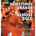 Sometimes Orange Is Almost Gold: Morgantown's Misfits of the Diamond