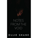 Notes From the Void